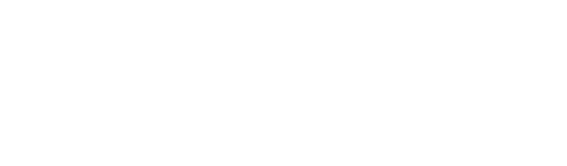 DeLUPAY LOGO